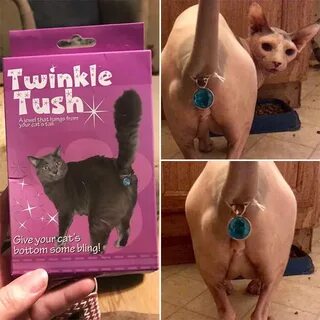 Twinkle Tush: a Jewel That Covers Your Cat’s Butt