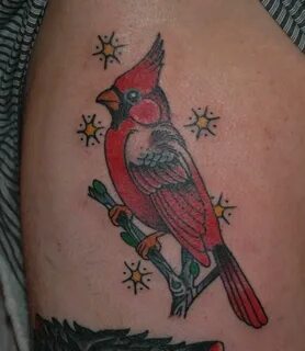 tim cardinal Tattoo Picture Last Sparrow Tattoo Cardinal tat