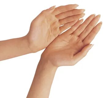 Praying hands PNG, Resolution:1280x1194 Transparent Png Imag