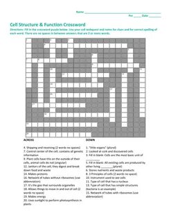 Ithcanamind Cell Structure And Function Crossword - Madrevie