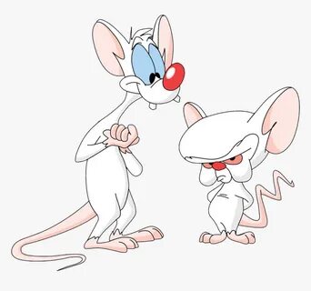 A Pinky And The Brain - Pinky And The Brain Png, Transparent Png - kindpng