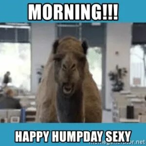 MORNING!!! HAPPY HUMPDAY SEXY HeRS Snet MORNING!!! HAPPY HUM