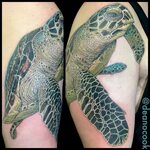 Lion Turtle Tattoo Milesia