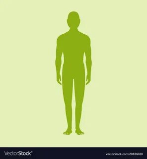 Male human body silhouette with shadow Royalty Free Vector