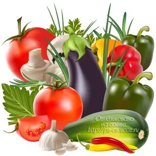 Продукты, фрукты, овощи и ягоды в векторе и PNG / Высококаче