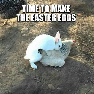 Pin by Ash on Memes that make me laugh Funny easter memes, H