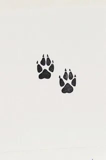 Tribal Wolf Paw Art