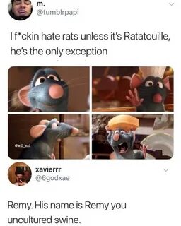 When the rat is not ratatouille and the rat's name is remy m