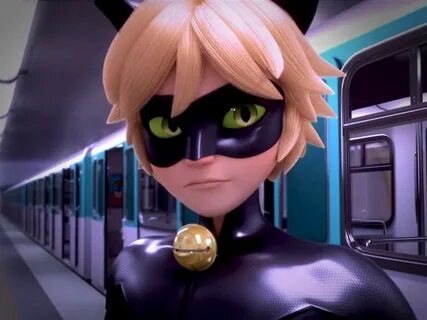 Sessão de fotos:Cat noir #1 Miraculous Ladybug ! Amino