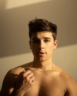 Picture of Sean O'Donnell in General Pictures - sean-odonnel