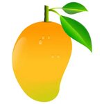 Pear clipart mango, Picture #1854342 pear clipart mango