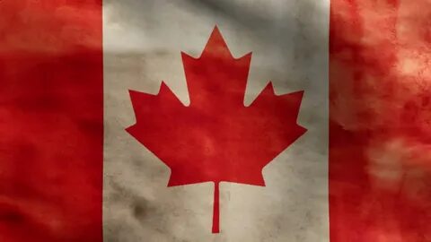 red white canadian flag waving windy: стоковое видео (без ли