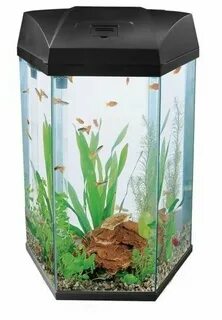 Стоит ли покупать Аквариум AA- Aquariums Hexagon 22л, черный