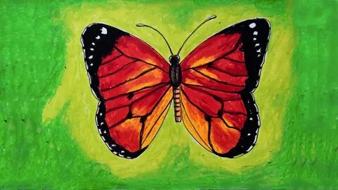 How to Draw Butterfly easy II Butterfly Drawing II Art JanaG