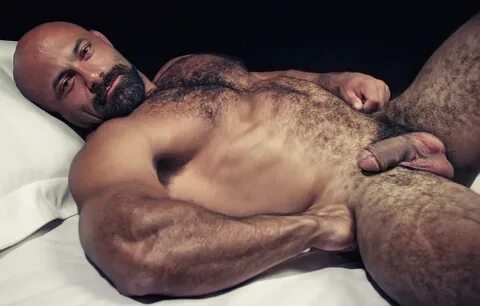 Muscular hairy gay porn