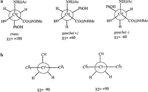 Newman projections for the side chain dihedral angles 1 (a) 