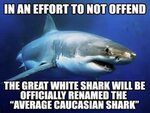 The great white shark will officially be renamed in an effor