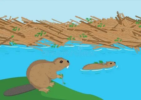 Illustration of Beavers Family Stock Illustration - Illustra
