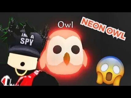 Making A Neon Owl In Adopt Me Roblox Youtube - Slipknot Robl