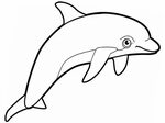 Дельфин картинки раскраски (21) - Рисовака