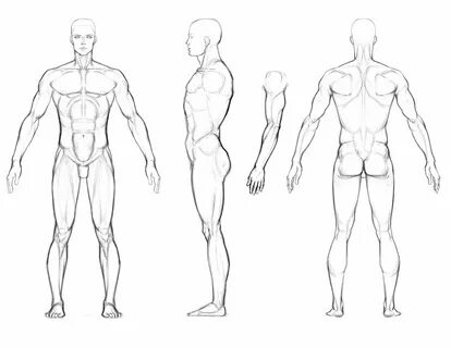 characters sketches template - Google Search Human anatomy d