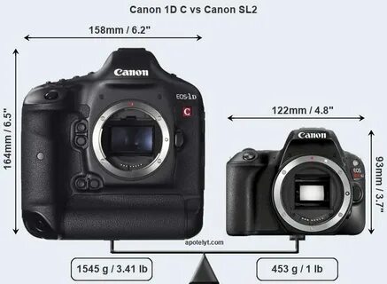 Canon 1D C vs Canon SL2 Comparison Review