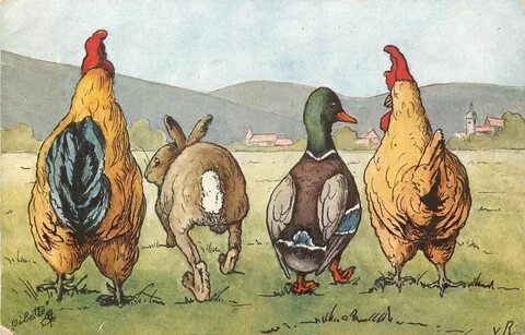 rooster rabbit, duck & hen walk away in line across meadow -