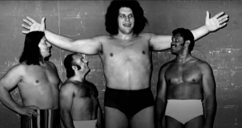 Andre The Giant Drawing - Image Sharing Site