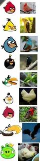 26 Angry birds ideas angry birds, angry birds party, bird bi