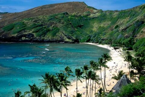 Snorkeling here was the best!! Hawaii beaches, Hawaii vacati