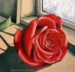 Rose by a Window Painting by Sharon Marcella Marston Fine Ar