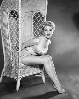 LEGGY IN FISHNETS PHOTO A-SN1 ACTRESS SHEREE NORTH ON HER BA