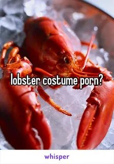 Lobster Porn Sex Pictures Pass