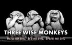 Sofost on Twitter: "Three wise monkeys : See No Evil, Hear N