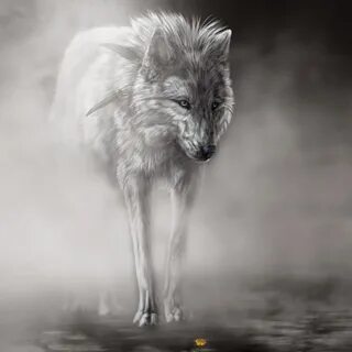 Wolf999900 - YouTube