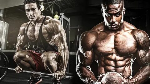 You can get a muscular physique with ripped muscles by follo