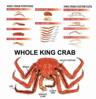 crab leg size chart - Monsa.manjanofoundation.org