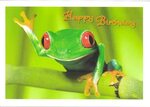Happy Birthday Frog Sent in May Mailbox Happiness-Angee at P
