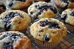 Homemade Blueberry Muffins - Gumnut Gardens