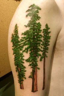 Tree Tattoos Designs, Ideas and Meaning - Tattoos For You