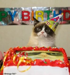 К сожалению, день рождения...... Grumpy cat birthday, Funny 