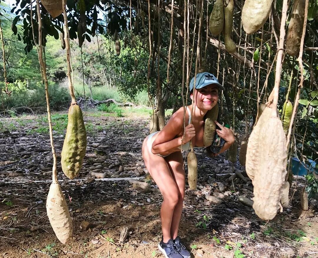 Samara Redway в Instagram: "Just me hanging with a sausage tree 🤷 🏽 ...