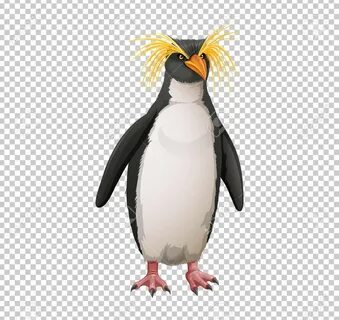 Macaroni Penguin On Transparent Background Illustration Roya