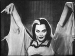 Lily Munster Quotes. QuotesGram