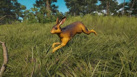 Far Cry: New Dawn Hare Location - Where Can You Hunt the Gam