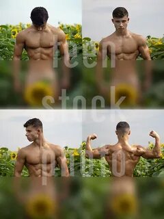 Naked boy with a great body is photographed in sunflowers - 