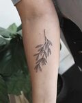 Simple olive branch for Alexandra 🌿 Olive branch tattoo, Bra