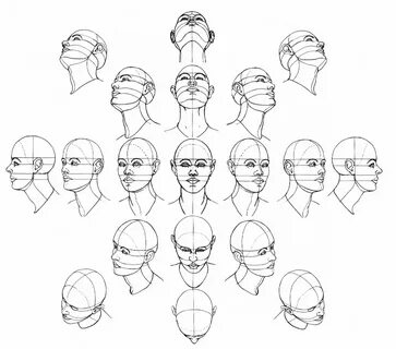 Drawings, Drawing the human head, Human drawing