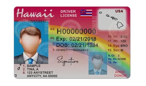 drivers license psd template - buy fake id photoshop templat