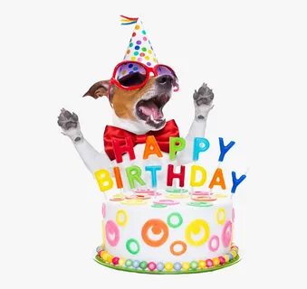 #happybirthday #birthday #birthdaycandles #wish #dog - Happy